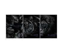 Тетрадь  А4 96л, клетка, скоба BG "Just black", soft-touch ламинация