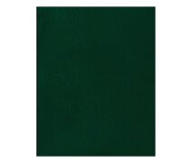 Тетрадь 96 л А5 клетка BG, бумвинил, зеленый