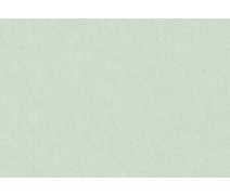 Colorplan Powder Green Бледно-зеленый SRA3, 270 г