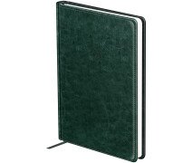 Ежедневник датированный 2025г. А5, 176л., твердый переплет, кожзам, BG "Nebraska. Green", зеленый