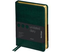 Ежедневник недатированный А6, 100*150 мм 160л., кожзам, Berlingo "xGold", зол. срез, зеленый